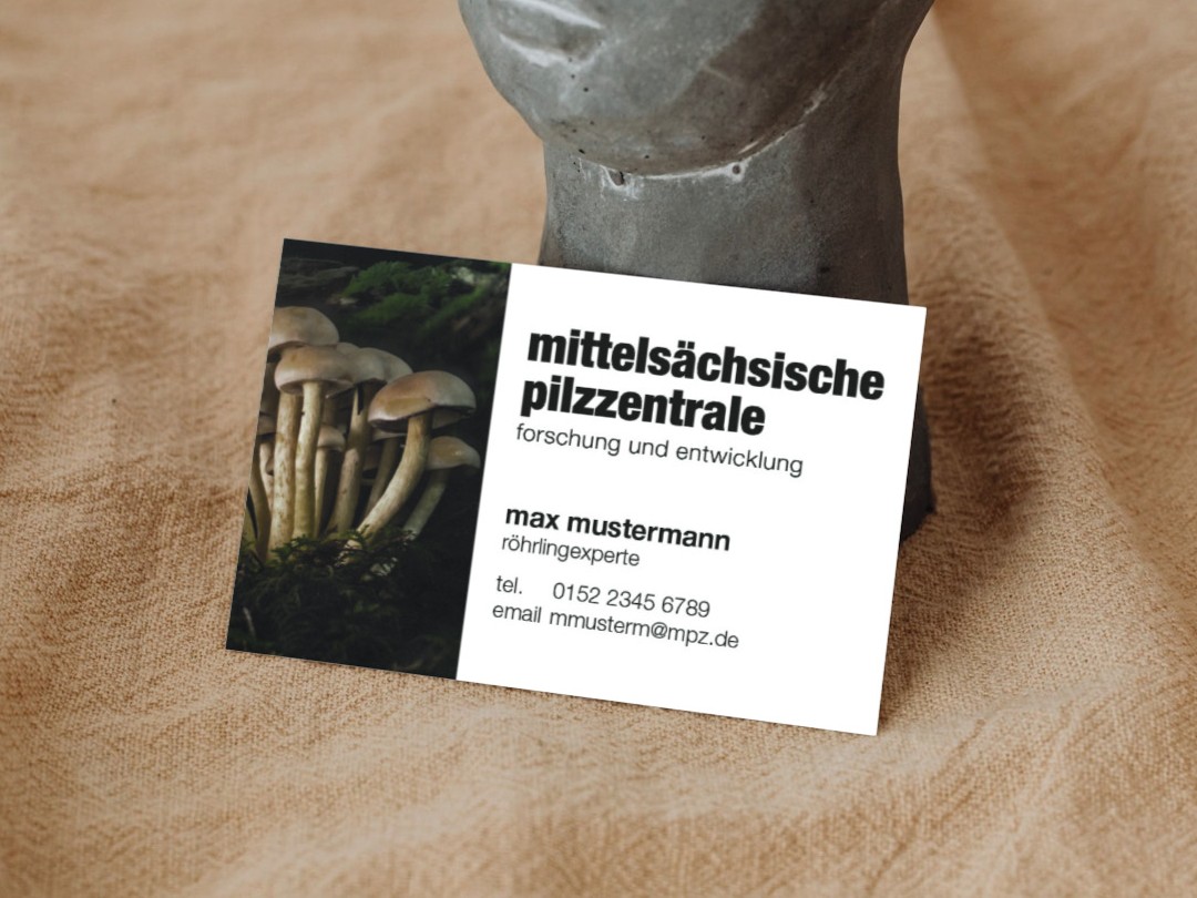 Visitenkartenkonzept Pilzzentrale